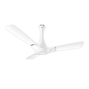 online ceiling fans buy